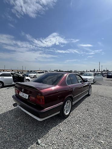 525: BMW 525: 1994 г., 2.5 л, Механика, Бензин — 2