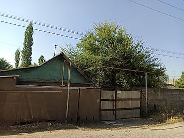 Дом с участком в с. Новопокровка, ул. Строительная, 93 - Земельный