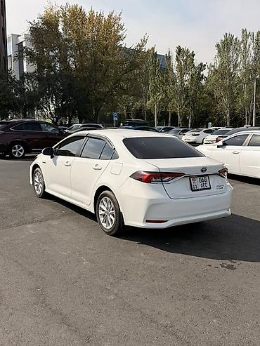 Toyota: Toyota Corolla: 2022 г., 1.6 л, Автомат, Гибрид, Седан — 4