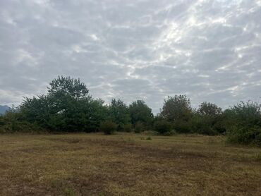 Torpaq sahələrinin satışı: 110 sot, Tikinti — 12