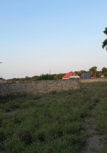 Torpaq sahələrinin satışı: Kənd təsərrüfatı, Mülkiyyətçi -da lalafo.az — 13 Torpaq sahələrinin satışı: Kənd təsərrüfatı, Mülkiyyətçi — 13