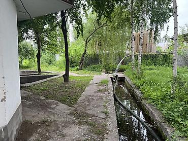 Недвижимость: Здание, Действующий, С оборудованием 500 м² — 8