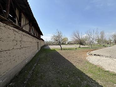 Недвижимость: 24 соток, Тех паспорт, Красная книга — 1