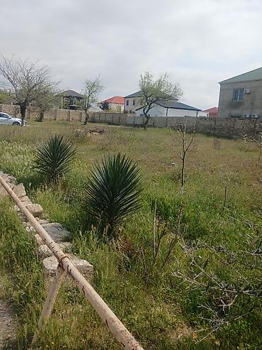 bagi: 6 sot, Tikinti, Mülkiyyətçi, Kupça (Çıxarış) — 5
