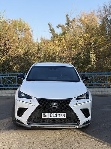 ford rapter: Lexus NX: 2019 г., 2 л, Автомат, Бензин, Кроссовер — 2