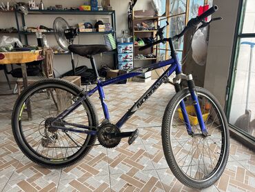 trek velosipedi: NORDWAY 26lıq 
Telefon tutacağı hədiyyə