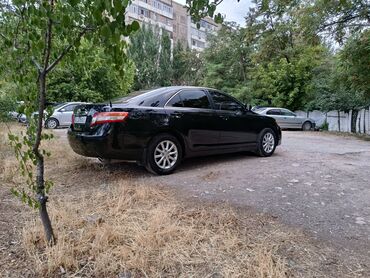 натяжитель ремня камри 40: Toyota Camry: 2010 г., 2.5 л, Типтроник, Бензин, Седан