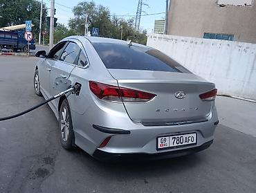 дн 8 соната 2019: Hyundai Sonata: 2019 г., 2 л, Автомат, Газ, Седан — 2