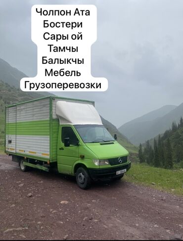 фильтры для дома: Бус, Переезд, перевозка мебели, По региону, с грузчиком