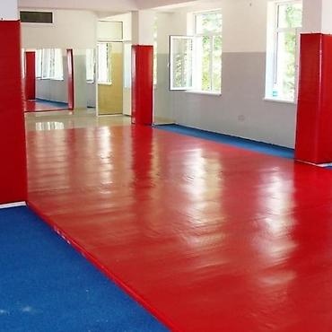 Другое для спорта и отдыха: Ковры маты даянги татами дзюдо борцовские ковры гимнастические маты — 2