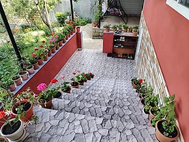 dəniz məhsulları satışı: Şlanq, Yeni, daxili diametr 1 mm mm, Başlıqlı — 5