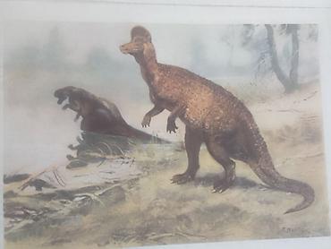 Ev üçün dekor: Məhsul: Dinozavr mövzusunda vintage illüstrasiya çapları dəsti — 2