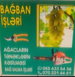 özəl bağçalar vakansiya 2024: Bağban tələb olunur, 6 ildən artıq təcrübə, Dəyişən qrafik