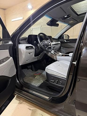 Hyundai: Hyundai Palisade: 2024 г., 2.2 л, Автомат, Дизель, Кроссовер — 11