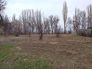 Продажа коттеджей и домов: 🏡 Продаётся участок с домом — отличная возможность для жизни и — 12