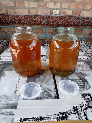 мёд цена: Мёд цена за килограмм 350 сом Токтогульский, горный, цветочный! 1