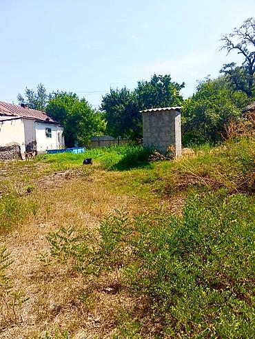 черная речка: Продаётся жилой дом с приусадебным участком. - Одноэтажный дом из — 5