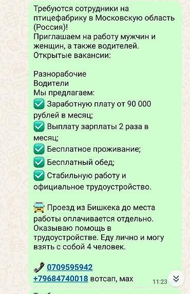 вакансия электрика: Требуется Птичник, Оплата: Дважды в месяц — 1