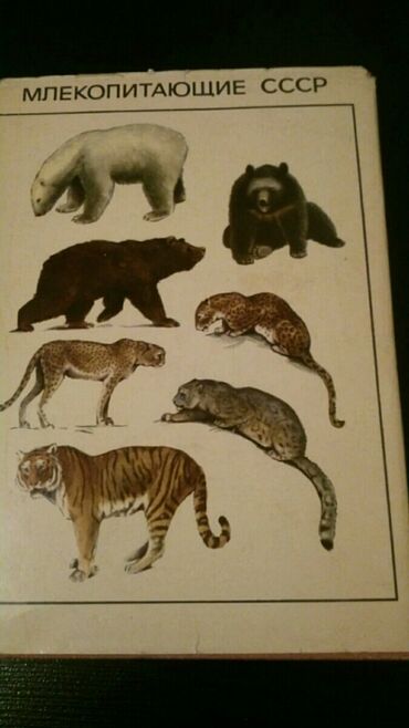 farmakologiya kitabi: Книги "Млекопитающие" и другие. Чтобы посмотреть все мои объявления