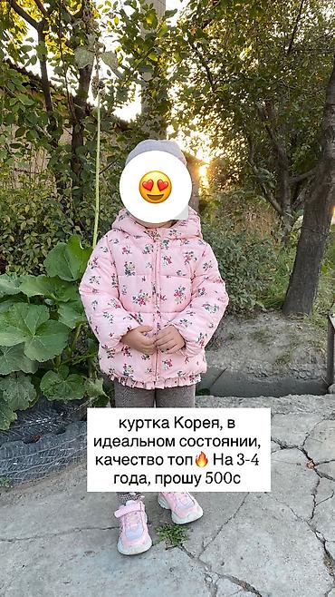 soft shell: Куртки, вещи на девочку 3 - 6 лет 1) H&M, деми, на 3-5 лет — 3