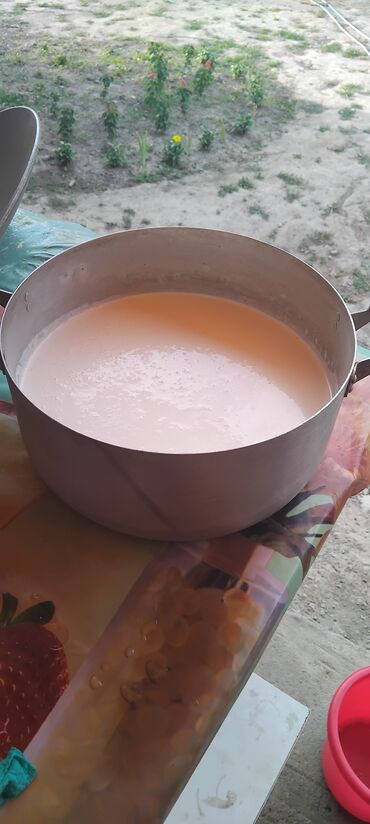 Молочные продукты и яйца: Продаётся свежее козье молоко. Натуральный продукт, полученный от at lalafo.kg Молочные продукты и яйца: Продаётся свежее козье молоко. Натуральный продукт, полученный от