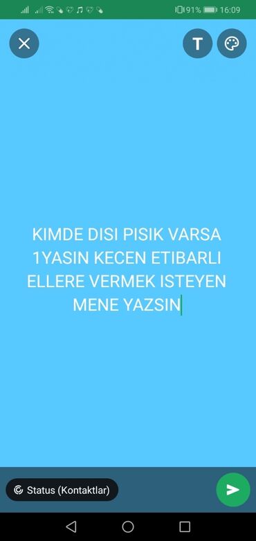çöl pişiyi: Dişi