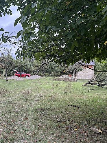 tap az sirvan: 28 sot, Biznes üçün, Mülkiyyətçi, Kupça (Çıxarış) — 3