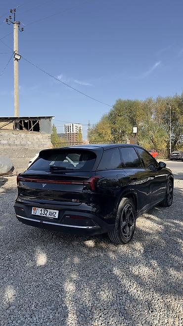 wuling mini ev: BYD : 2024 г., Электромобиль, Кроссовер — 4