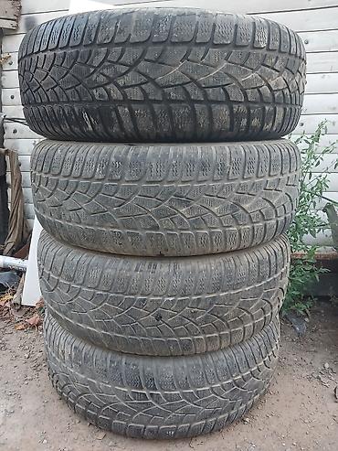 şam disk 17: 235/65 R17 ölçüdə qış təkərləri satılır. - Komplekt: 4 ədəd - Növ — 2