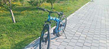 velosiped cross: MTB tipli dağ velosipedi – mavi rəng - Brend/qrafika: STE Sport — 3