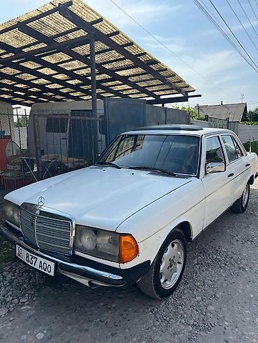 Mercedes-Benz: Mercedes-Benz W123: 1983 г., 3 л, Механика, Бензин, Седан — 9