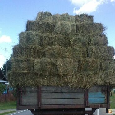 наполнитель для животных: КУПЛЮ КЛЕВЕР ТЮКИ 200 ШТ С ДОСТАВКОЙ В АРАШАН ПО 280-300 СОМОВ. БЕДЕ