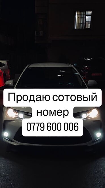 аксессуары для телефона: Звонить 0779 551 155