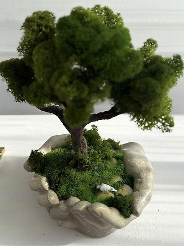 Декоративные цветы: Деревья-бонсай из натурального стабилизированного мха🌳 -это — 59