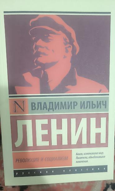 Набор книг в мягких обложках (серии «Русская классика» и «Эксклюзивная