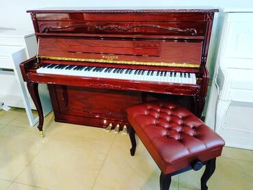 piano gallery music store: Пианино, Новый, Бесплатная доставка