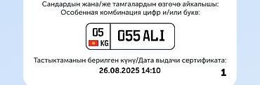argb controller: Индивидуальный автомобильный номерной знак с особой комбинацией: 055 — 1