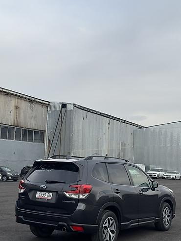 Subaru: Subaru Forester: 2019 г., 2.5 л, Вариатор, Кроссовер — 13