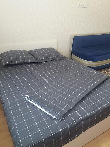 Посуточная аренда квартир: 1 комната, Интернет, Wi-Fi — 2