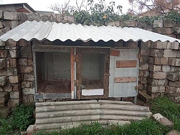 большая клетка для кролика: Satıram kredit mümkündür dəyişmək olar — 5
