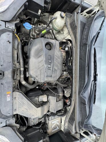 Kia: Kia Sportage: 2019 г., Кроссовер — 18