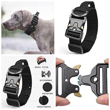 Зоотовары: ПРОДАЮ СУПЕР ПРОЧНЫЙ МЯЧЬ ДЛЯ СОБАК,А ТАК ЖЕ — 21