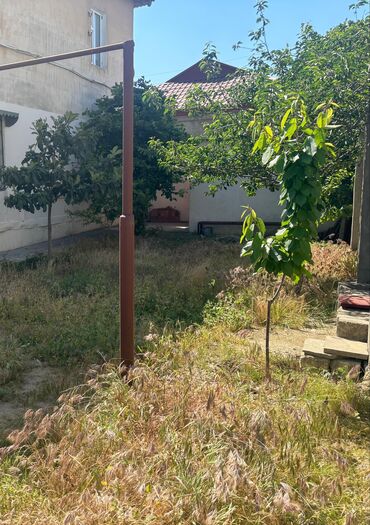 torpak: 1 sot, Mülkiyyətçi