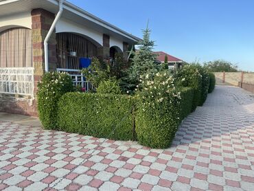 снять дом для мероприятий: Сдаю номер в с.Чок талкоттеджный городок Демал5 линиядо озера