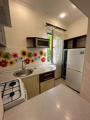 binar: 2 комнаты, 52 м², Золотой квадрат Индивидуалка, 2 этаж, Евроремонт — 4