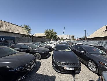 geely e5: Kia K5: 2022 г., 2 л, Автомат, Газ, Седан — 10