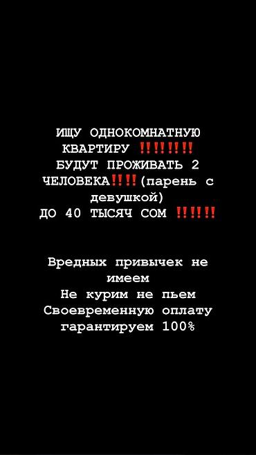 40: Ищем однокомнатную квартиру. Проживать будут 2 человека (парень и — 1