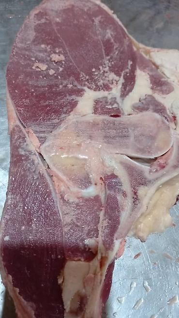 курбан кара: Халал мясо “Мурок” (Бишкек) - Говядина/телятина: конина? На фото — 5