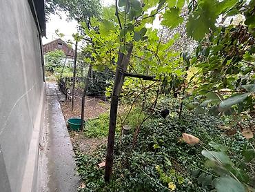 Продажа участков: 5 соток, Для строительства, Красная книга, Тех паспорт, Договор купли-продажи — 6