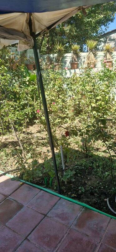 Həyət evləri və villaların satışı: Binə 3 otaqlı, 95 kv. m, Yeni təmirli — 18